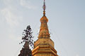 Chedi